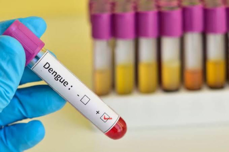 Recomiendan prueba de sangre por dengue