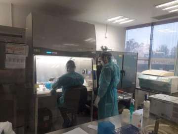 Tamaulipas registra 43 nuevos casos de COVID-19 