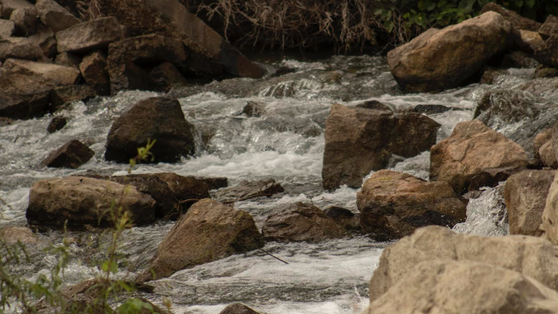 Tamaulipas celebra el día mundial del Agua,  con el lema “Agua y Cambio Climático”