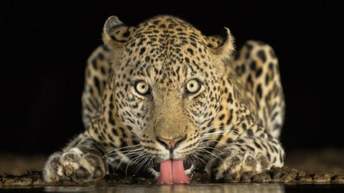 Las mejores fotografías del Sony World Photography Awards