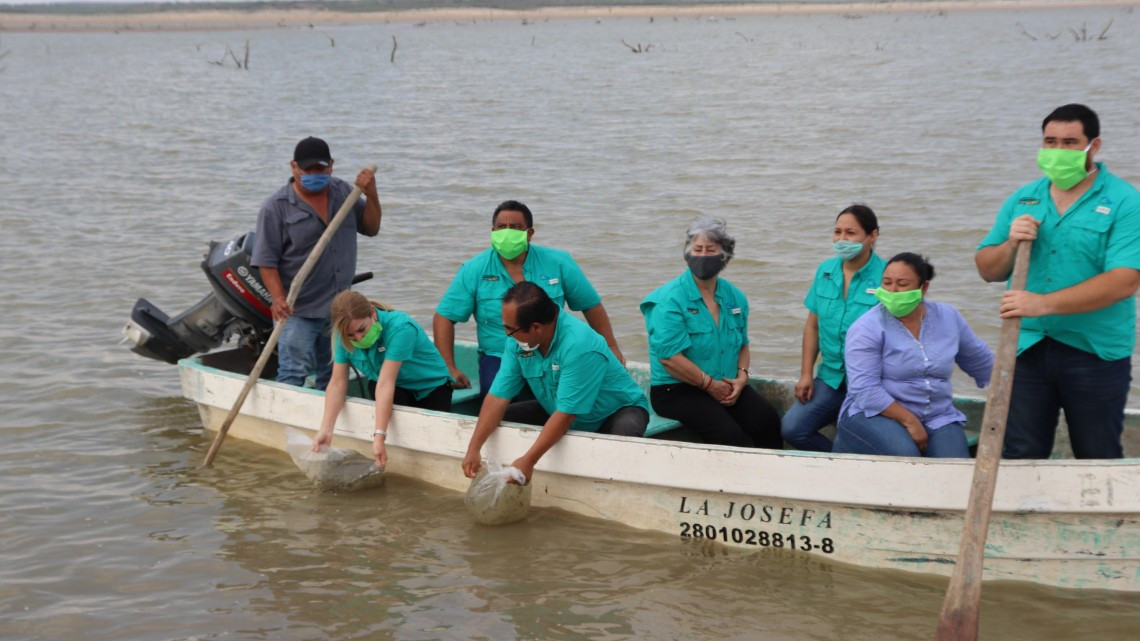 Impulsa Gobierno de Tamaulipas producción de tilapia en presa Falcón