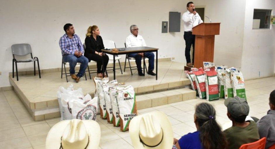 Productores del sector social se benefician con más de 121 tons. de semilla certificada