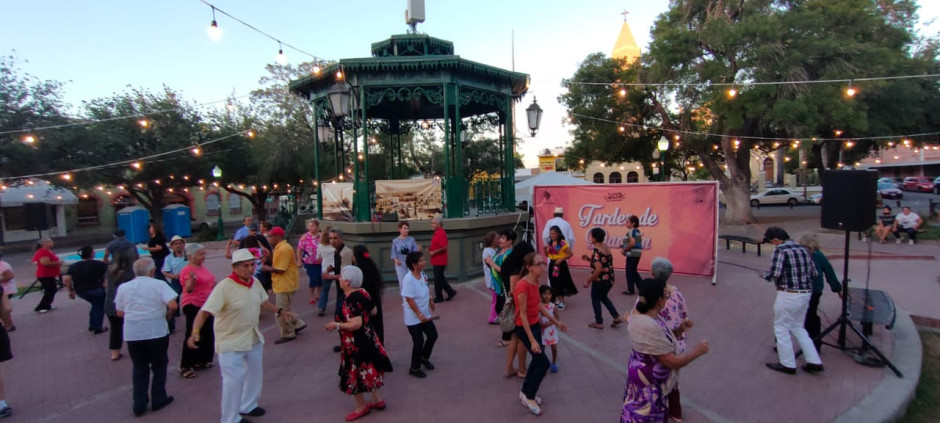 Bailan y disfrutan en tardes de danzón