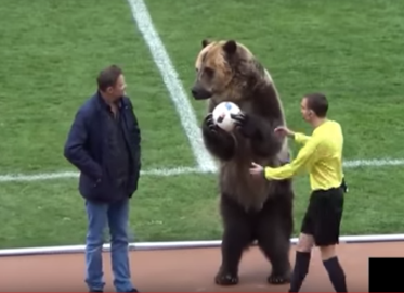 Oso hace saque de honor en partido ruso