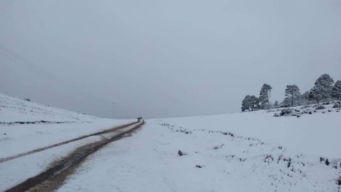 Así la primera nevada en Nuevo León y SLP
