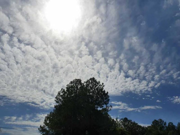 Conoce el pronóstico del clima de este domingo en Tamaulipas 