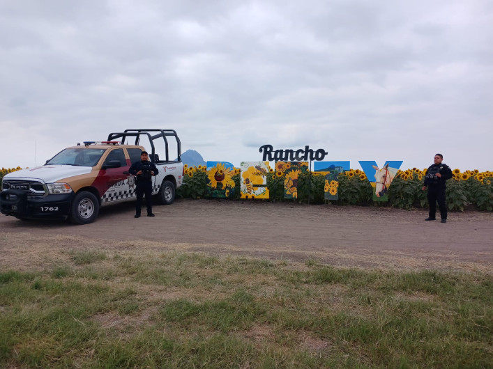 Guardia Estatal mantiene vigilancia en Campo de Girasoles 