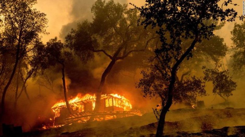California declara estado de emergencia por incendios forestales