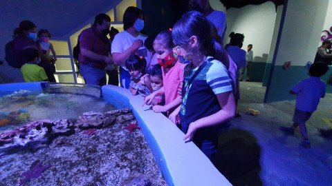 Llega el ajolote al acuario de Nuevo Laredo 