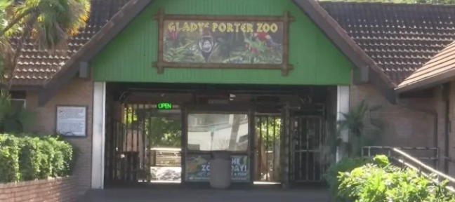 Fijan fianza contra presunto ladrón de tortuga en Brownsville