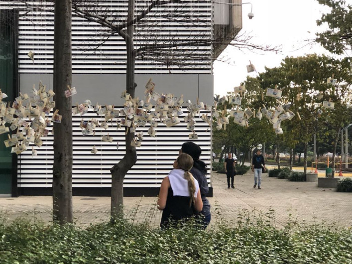 Aparecen billetes colgados en árboles de Colombia 