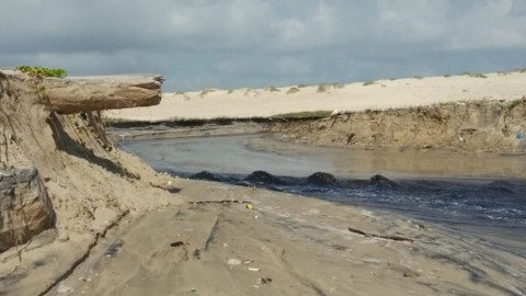 Atienden SEDUMA y Procuraduría Ambiental contaminación de empresa en Altamira
