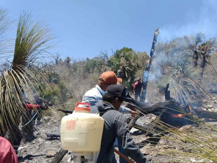 Se registra intenso incendio forestal en Hidalgo