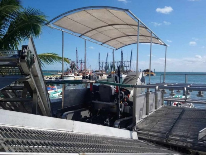 Recolectan 14 toneladas de Sargazo por hora