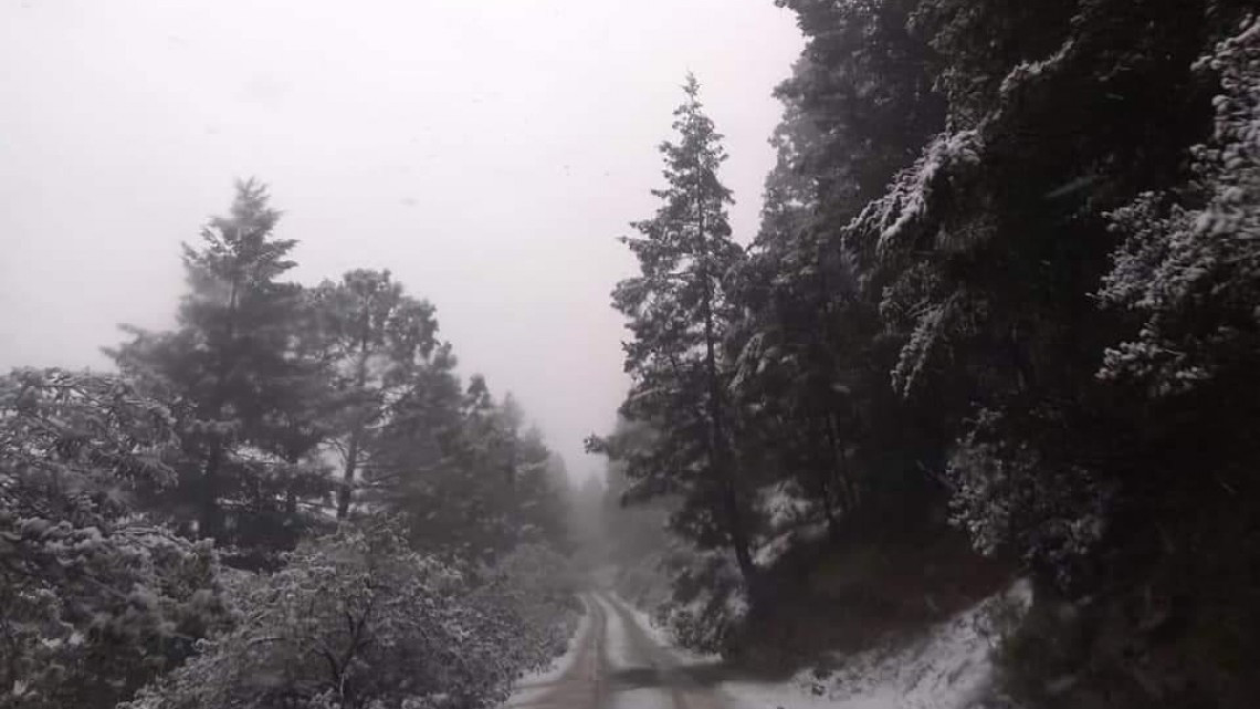 Así la primera nevada en Nuevo León y SLP
