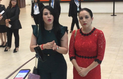 Diputados de MORENA buscan desestabilizar a Tamaulipas: PRI
