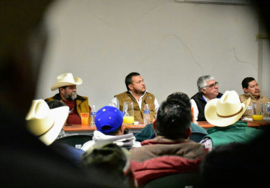 Coordinan Gobierno y citricultores para fomentar la sanidad en huertas