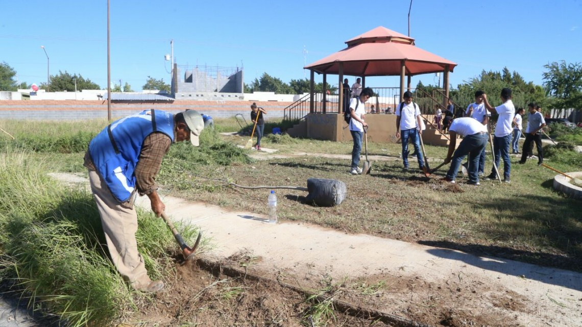 Promueve cultura ambiental Voluntariado Joven