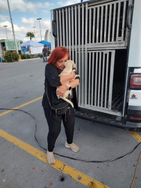 Invita Alcalde Carlos Peña a adoptar mascotas