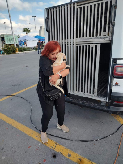 Invita Alcalde Carlos Peña a adoptar mascotas