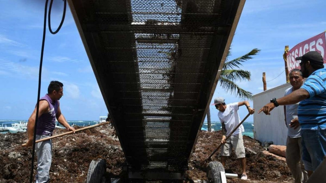 Inician trabajos de combate contra sargazo