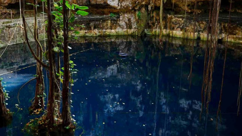 Joven colombiano muere ahogado en cenote de Yucatán