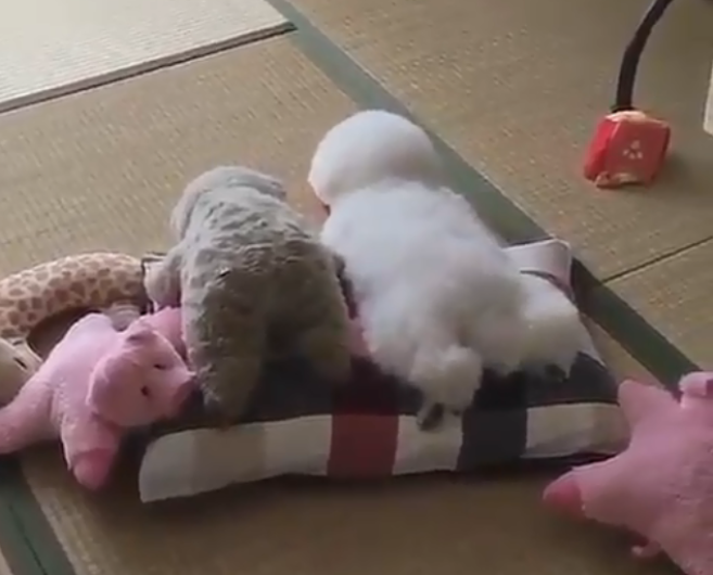 Aquí nadie me encontrará...