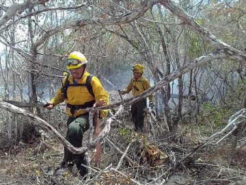 Controlado 80% incendio en QRoo