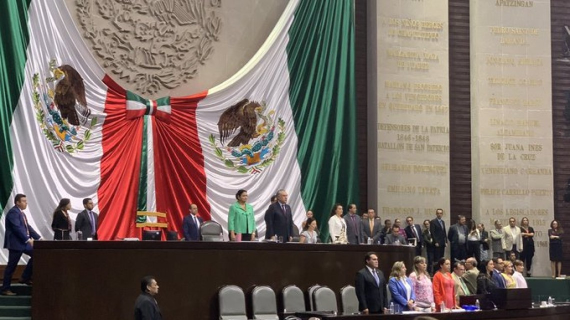 Laura Rojas va como presidente de la Cámara de Diputados,