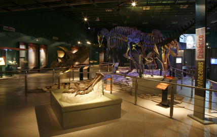 Suspenden visitas en museo y galerías para su reparación