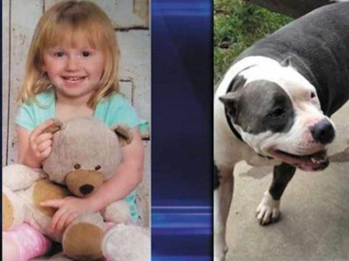 Niña es rescatada por su perrita pitbull