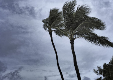 Carolina del Norte podría recibir ciclón Bill este lunes