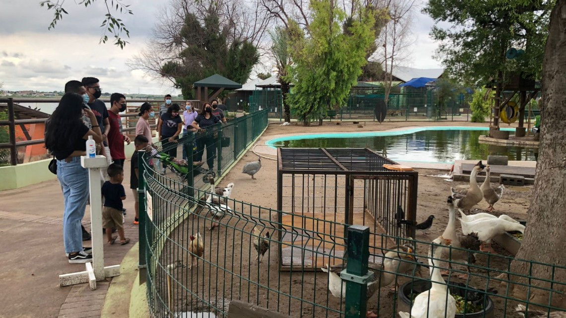 En lo que va del 2021, el Zoológico de Nuevo Laredo ha registrado 22 nuevos nacimientos