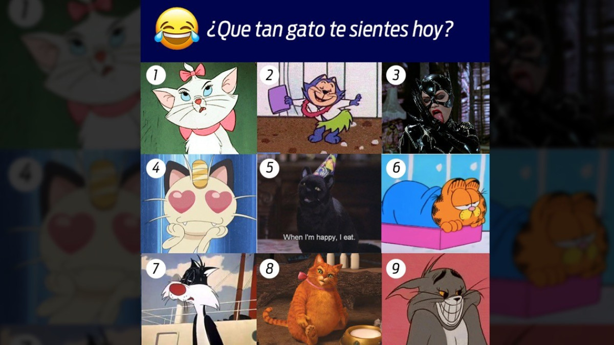 ¡Hoy estamos de manteles largos! Feliz Día del Gato