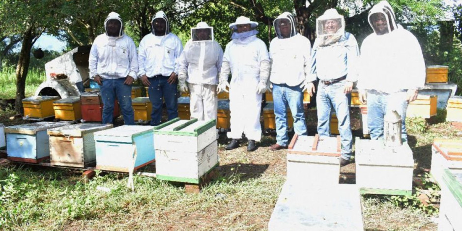 Gobierno del Estado retoma el areteo de colmenas como una medida de ordenamiento