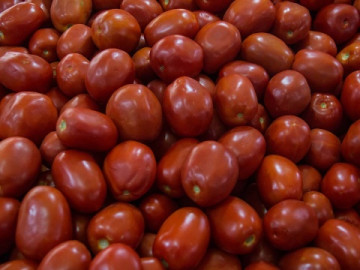 EU suspende “antidumping” a México sobre jitomate