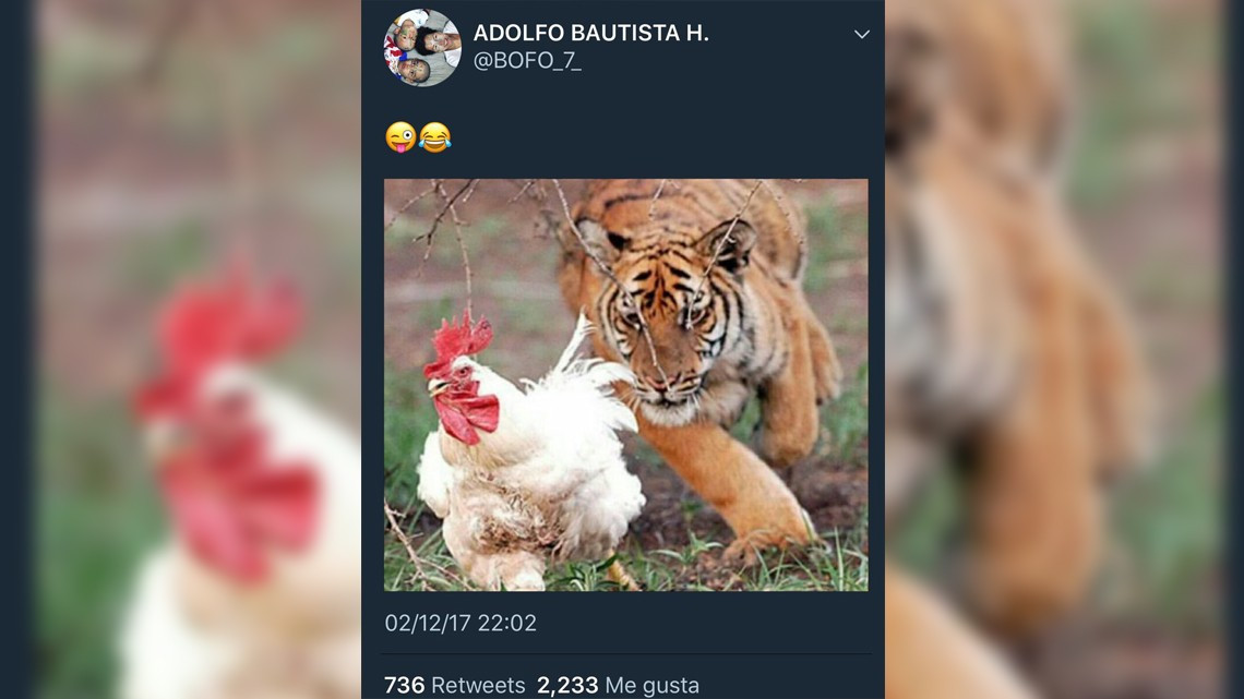 Estos son los memes del triunfo de Tigres ante América