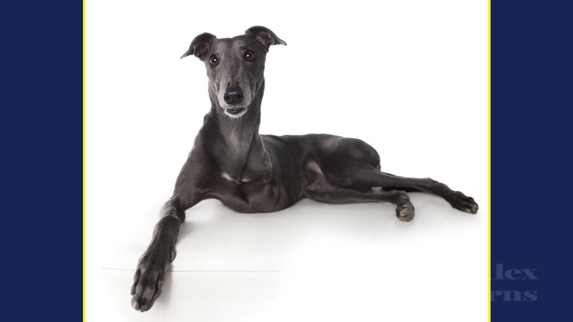 La perfección de los imperfectos