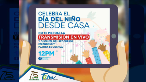 ¡Mañana, todos al zoológico!