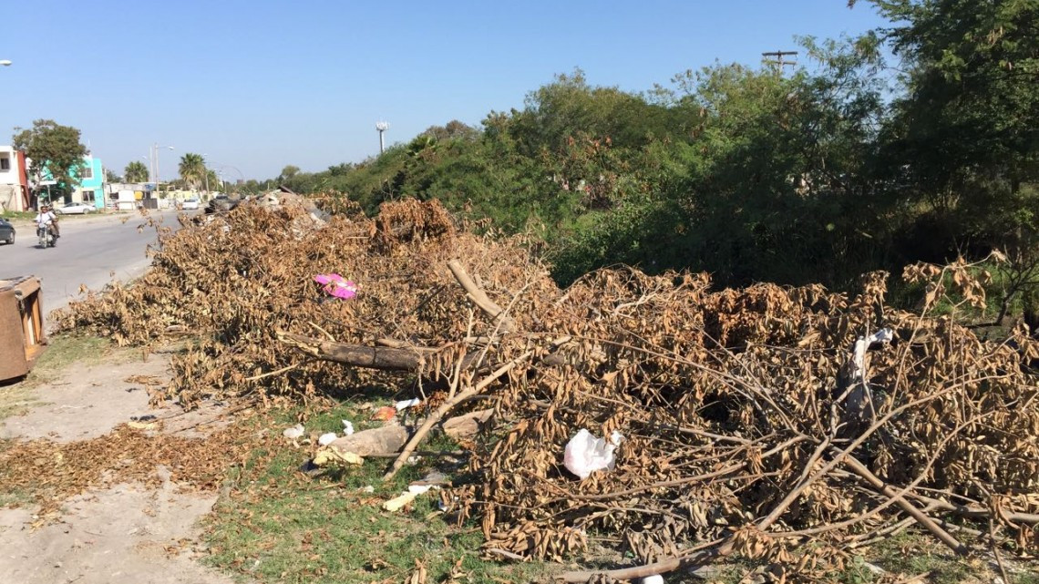 Vecinos piden la intervención de limpieza pública