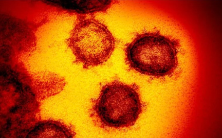 OMS denomina “Omicron” a la nueva variante del coronavirus; genera preocupación por sus mutaciones