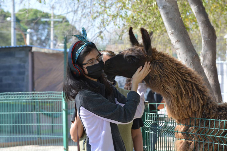 Zoológico y Acuario de Nuevo Laredo tienen horario especial durante invierno 