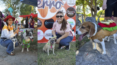 Promueven la convivencia y el bienestar animal con “Patita de Perro”
