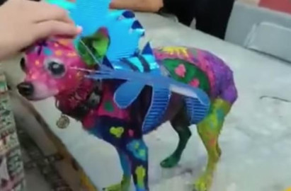 Pintan a Chihuahua de alebrije para concurso