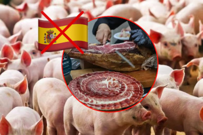 México frena importaciones de porcino español por brote de PPA