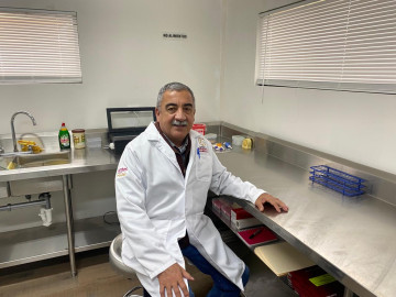 Prueba pareja de brucelosis al ganado 