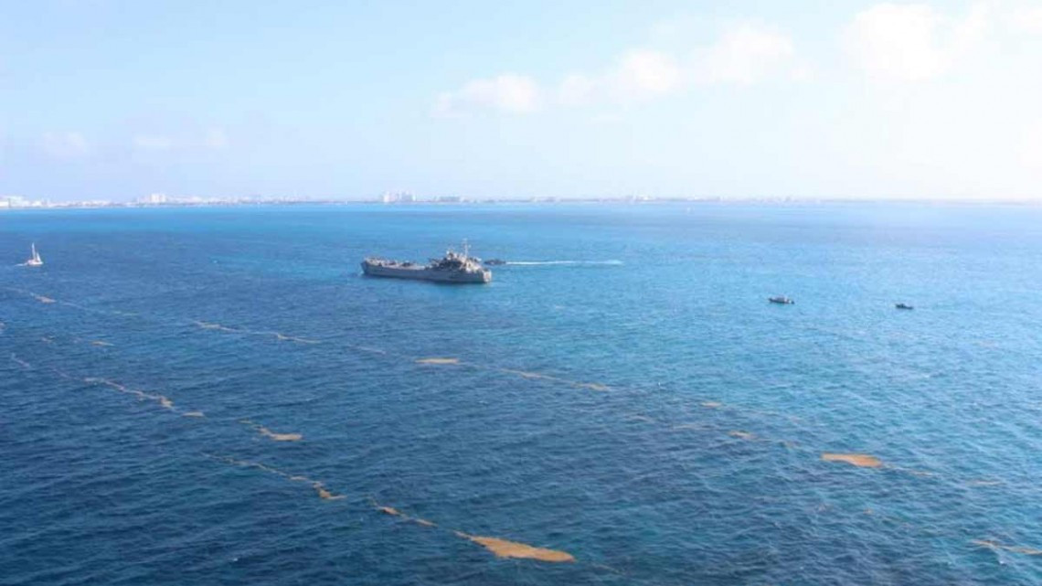 Así la Marina combate el sargazo en las costas de Quintana Roo
