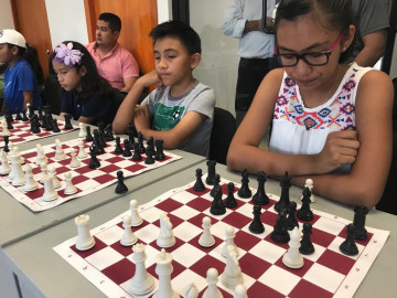 Ofrece Sebien clases de ajedrez completamente gratuitas