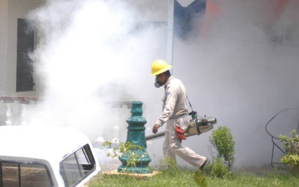 Asciende a 108 número de muertos por dengue en México