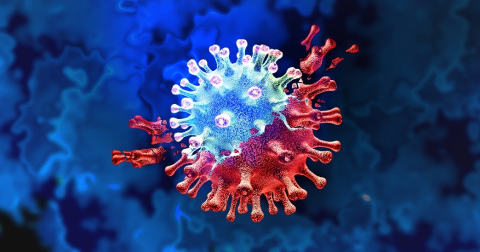 Confirma INDRE presencia de cepa brasileña en México; casos fueron detectados en Guadalajara